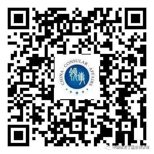 中国领事APP.jpg